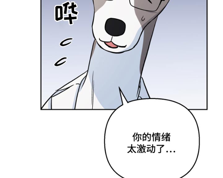 《爱犬与我》漫画最新章节第38章：药物免费下拉式在线观看章节第【8】张图片