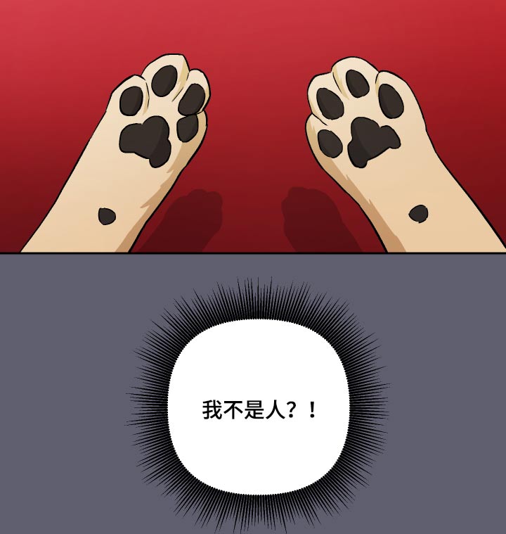 《爱犬与我》漫画最新章节第52章：【第二季】果然免费下拉式在线观看章节第【12】张图片