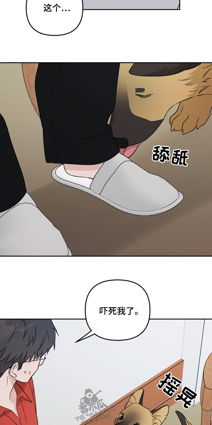 《爱犬与我》漫画最新章节第76章：【第二季】什么关系免费下拉式在线观看章节第【3】张图片