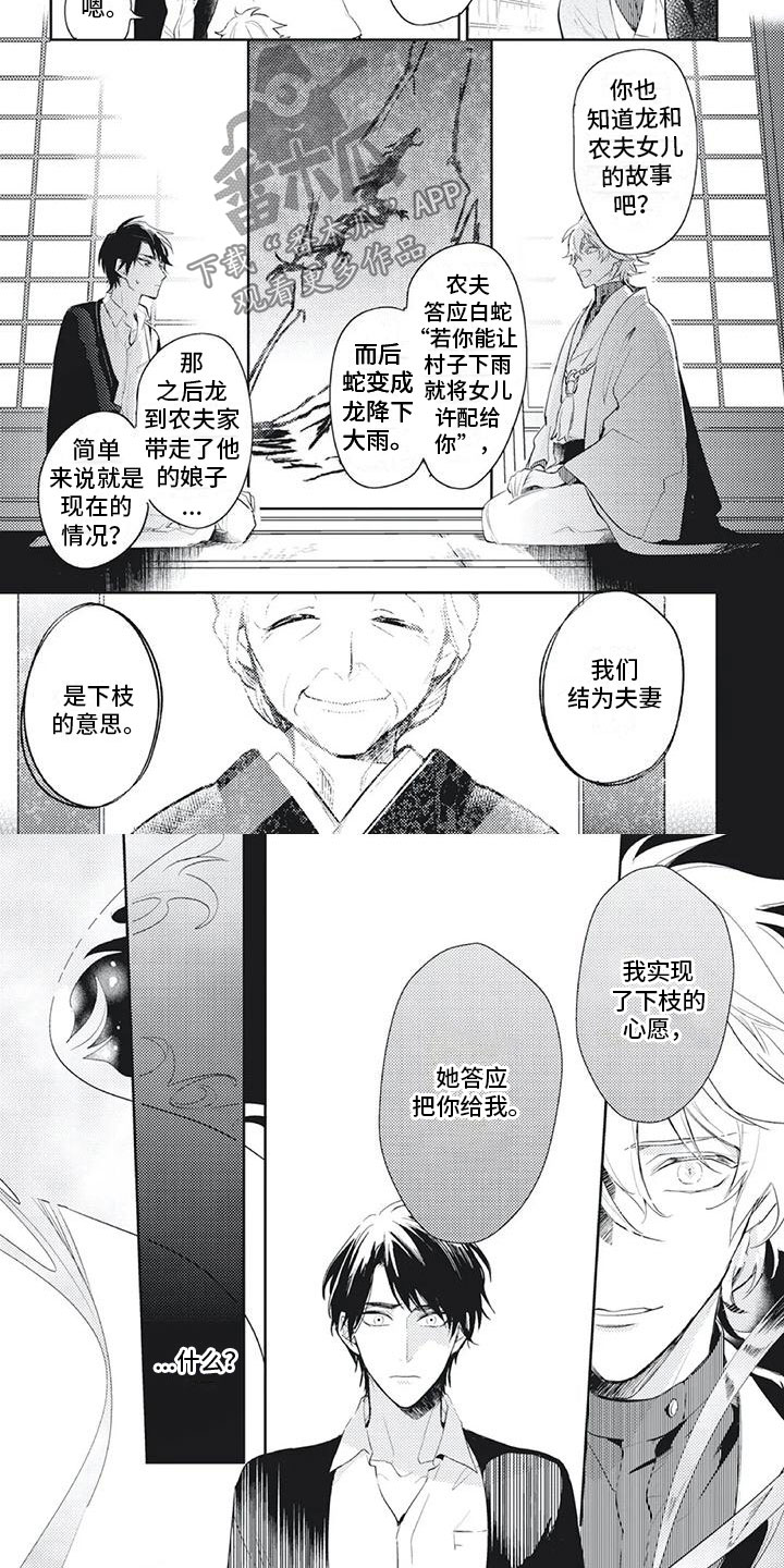 《龙神的逆鳞》漫画最新章节第5章：把你给我免费下拉式在线观看章节第【2】张图片