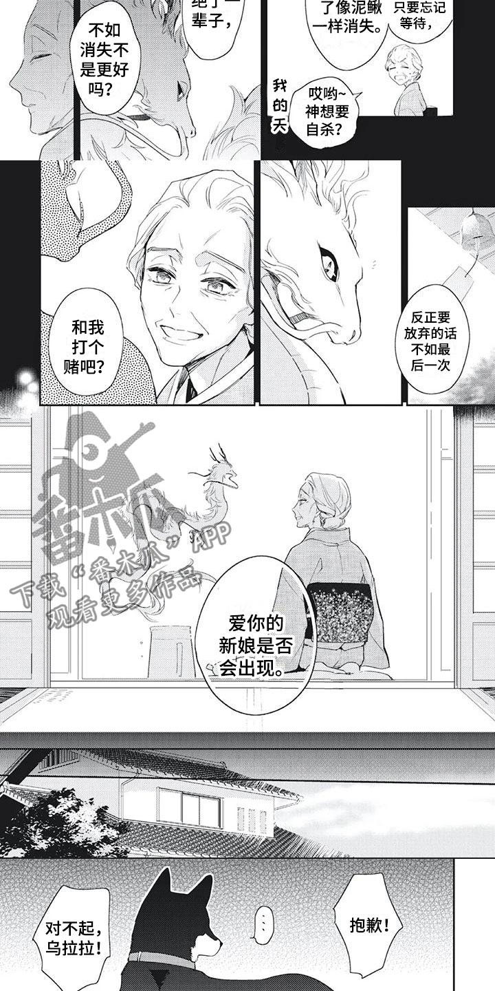 《龙神的逆鳞》漫画最新章节第52章：打赌免费下拉式在线观看章节第【4】张图片