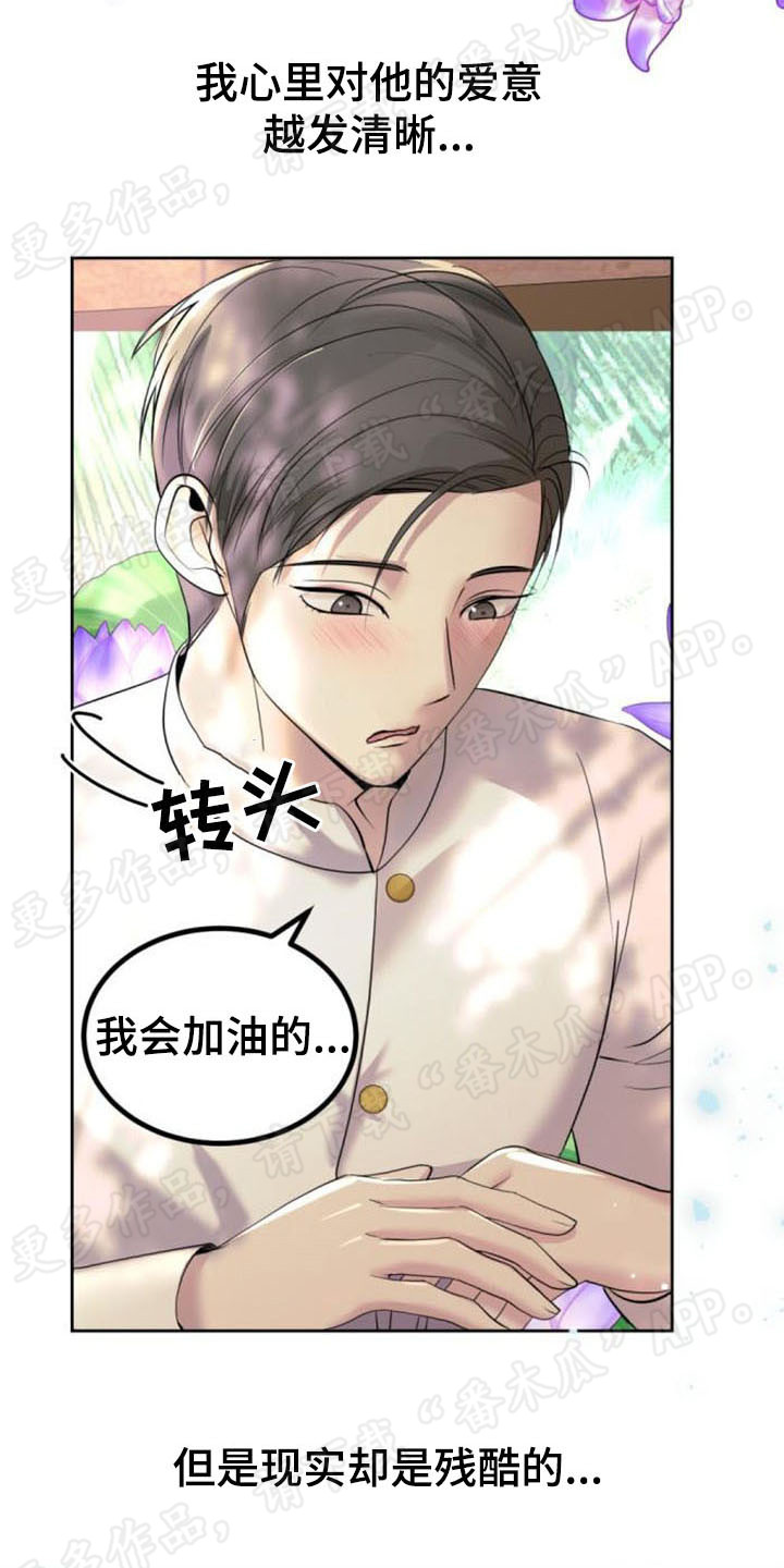 《暹罗最美的少爷》漫画最新章节第44章：从头回忆免费下拉式在线观看章节第【3】张图片