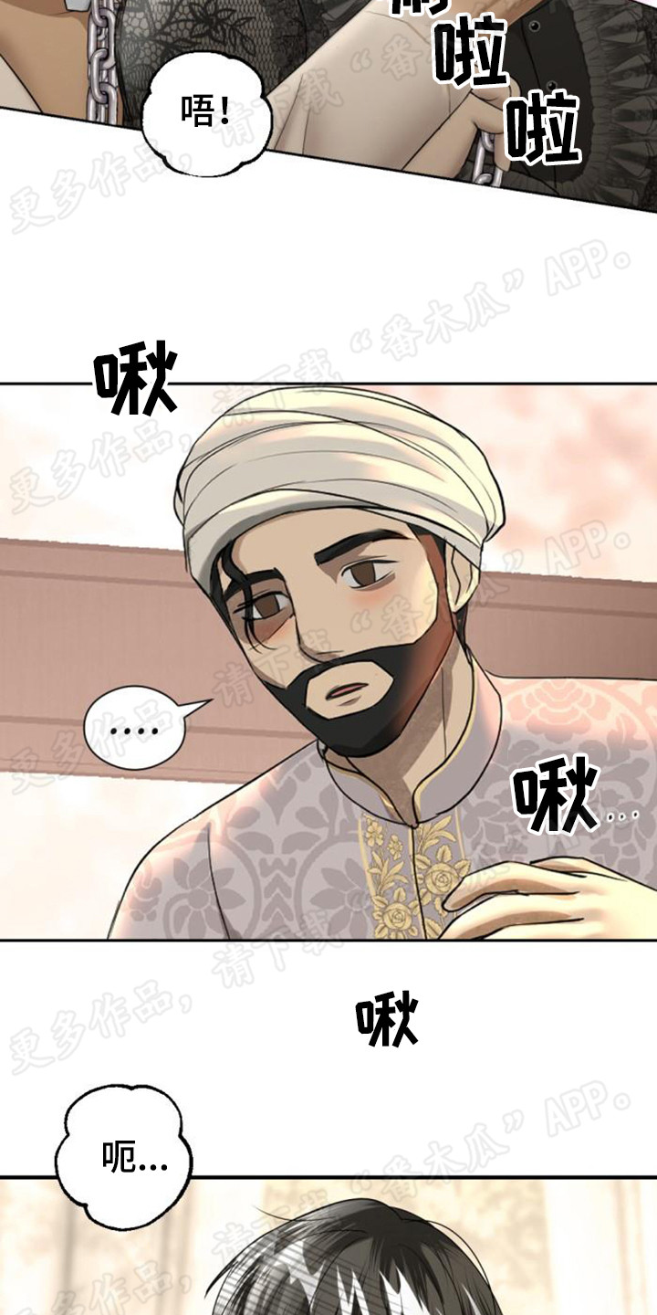 【暹罗最美的少爷】漫画-（第60章：豁出去了）章节漫画下拉式图片-20.jpg