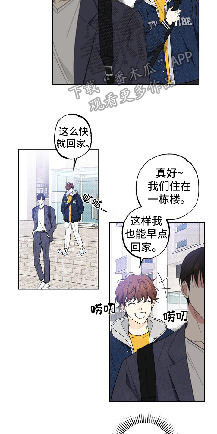 《恋爱合伙人》漫画最新章节第17章：疯子免费下拉式在线观看章节第【16】张图片