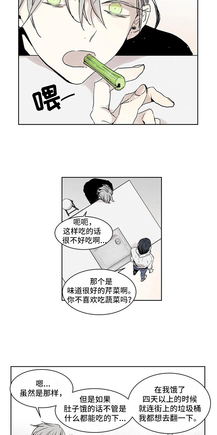 《如何吃桃子》漫画最新章节第3章：做饭免费下拉式在线观看章节第【5】张图片