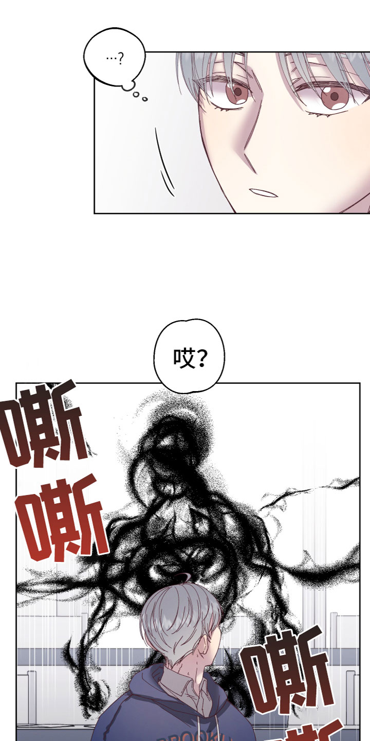 《金虎刹邪》漫画最新章节第2章：奇怪黑影免费下拉式在线观看章节第【11】张图片