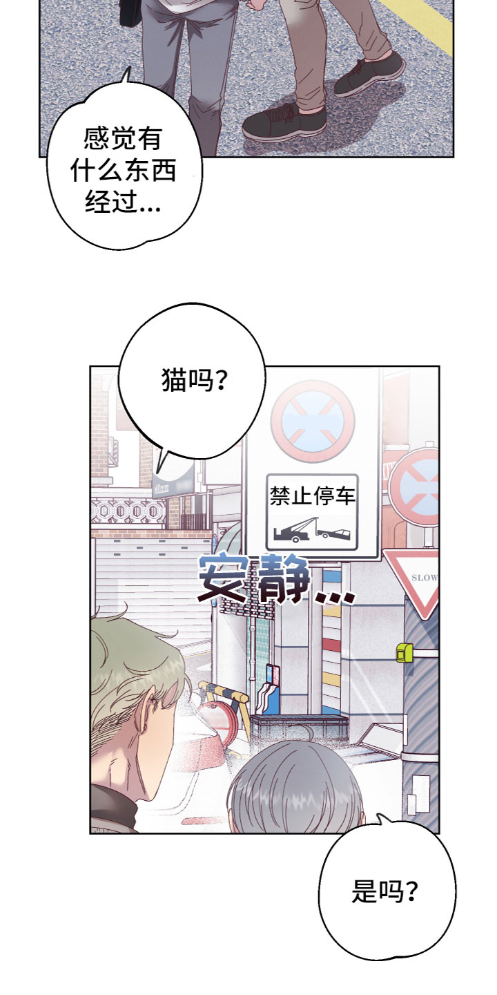 《金虎刹邪》漫画最新章节第2章：奇怪黑影免费下拉式在线观看章节第【21】张图片