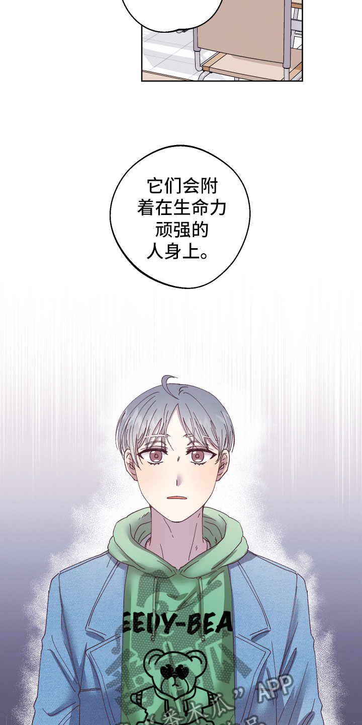 《金虎刹邪》漫画最新章节第5章：怎么办免费下拉式在线观看章节第【11】张图片