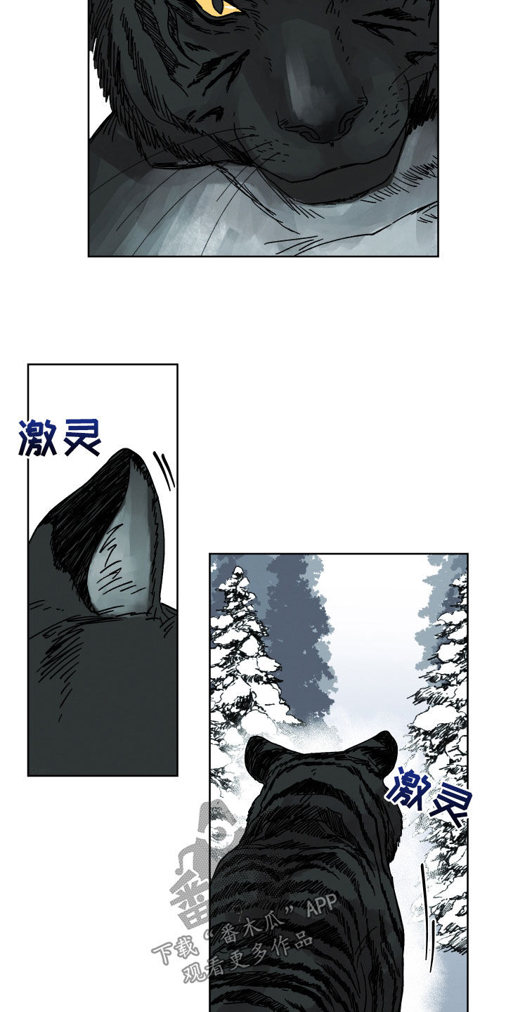 《金虎刹邪》漫画最新章节第19章：命运自己找来免费下拉式在线观看章节第【17】张图片