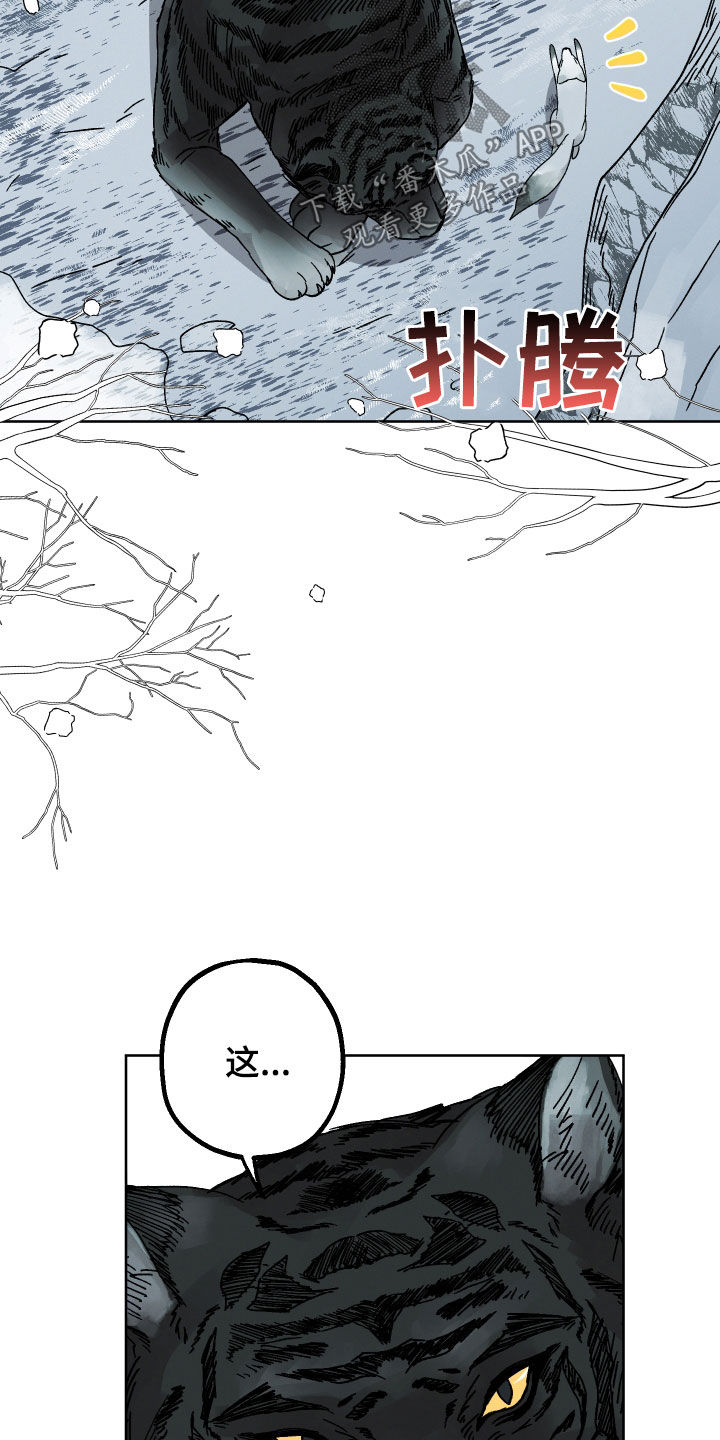 《金虎刹邪》漫画最新章节第19章：命运自己找来免费下拉式在线观看章节第【18】张图片