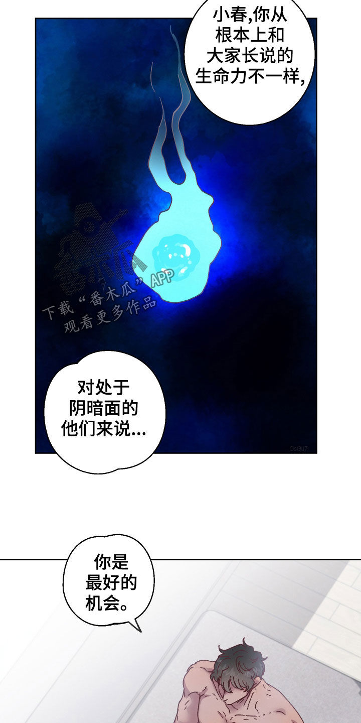 《金虎刹邪》漫画最新章节第21章：告诉他免费下拉式在线观看章节第【4】张图片