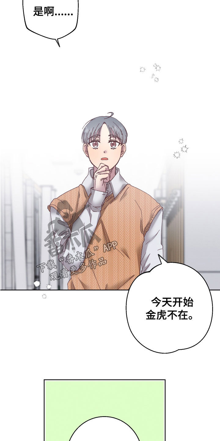 《金虎刹邪》漫画最新章节第29章：监护人免费下拉式在线观看章节第【17】张图片