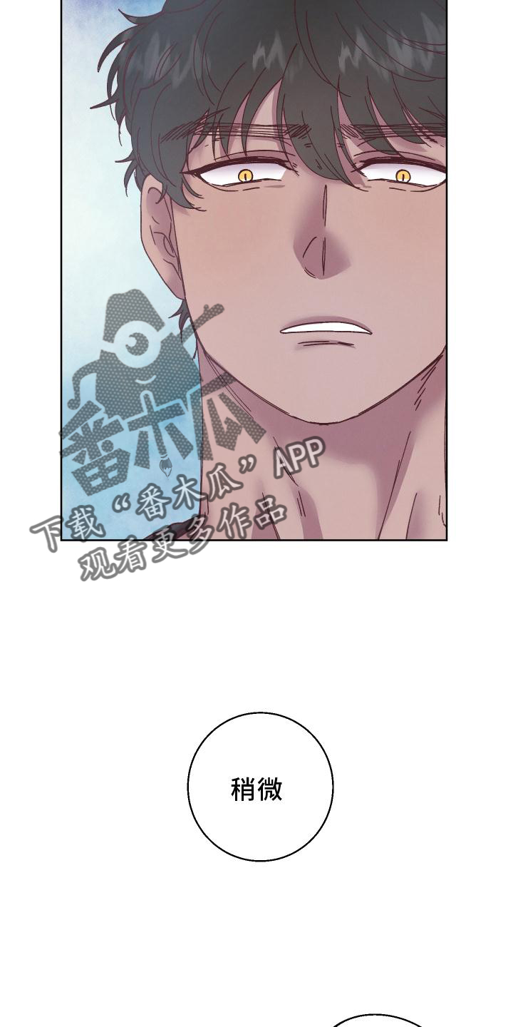 《金虎刹邪》漫画最新章节第49章：误会免费下拉式在线观看章节第【9】张图片