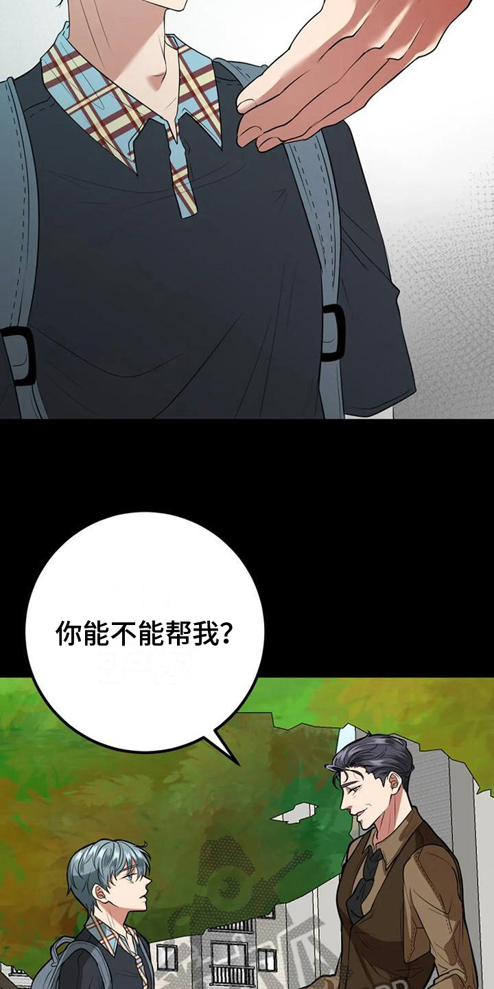 《婚姻合作》漫画最新章节第31章：收养免费下拉式在线观看章节第【12】张图片