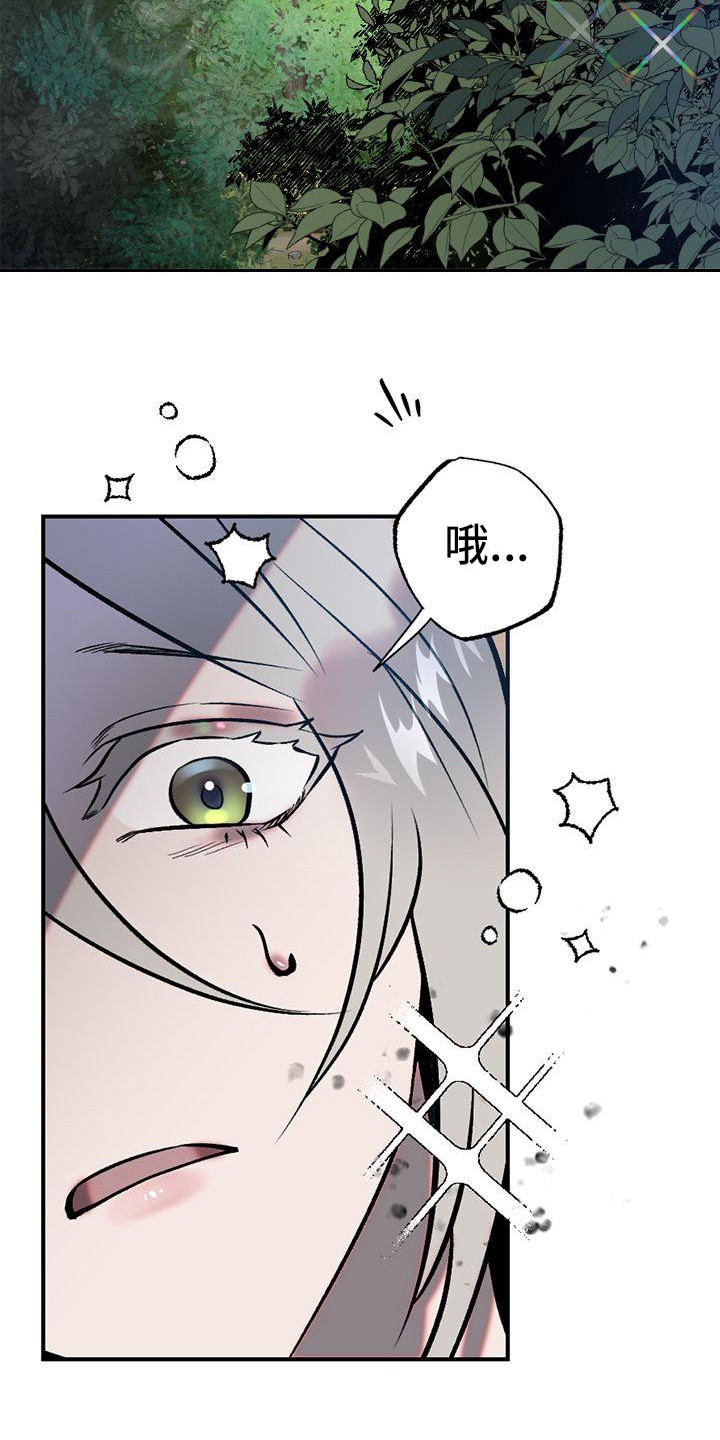 《粘糕聚会》漫画最新章节第1章：故事序章免费下拉式在线观看章节第【18】张图片