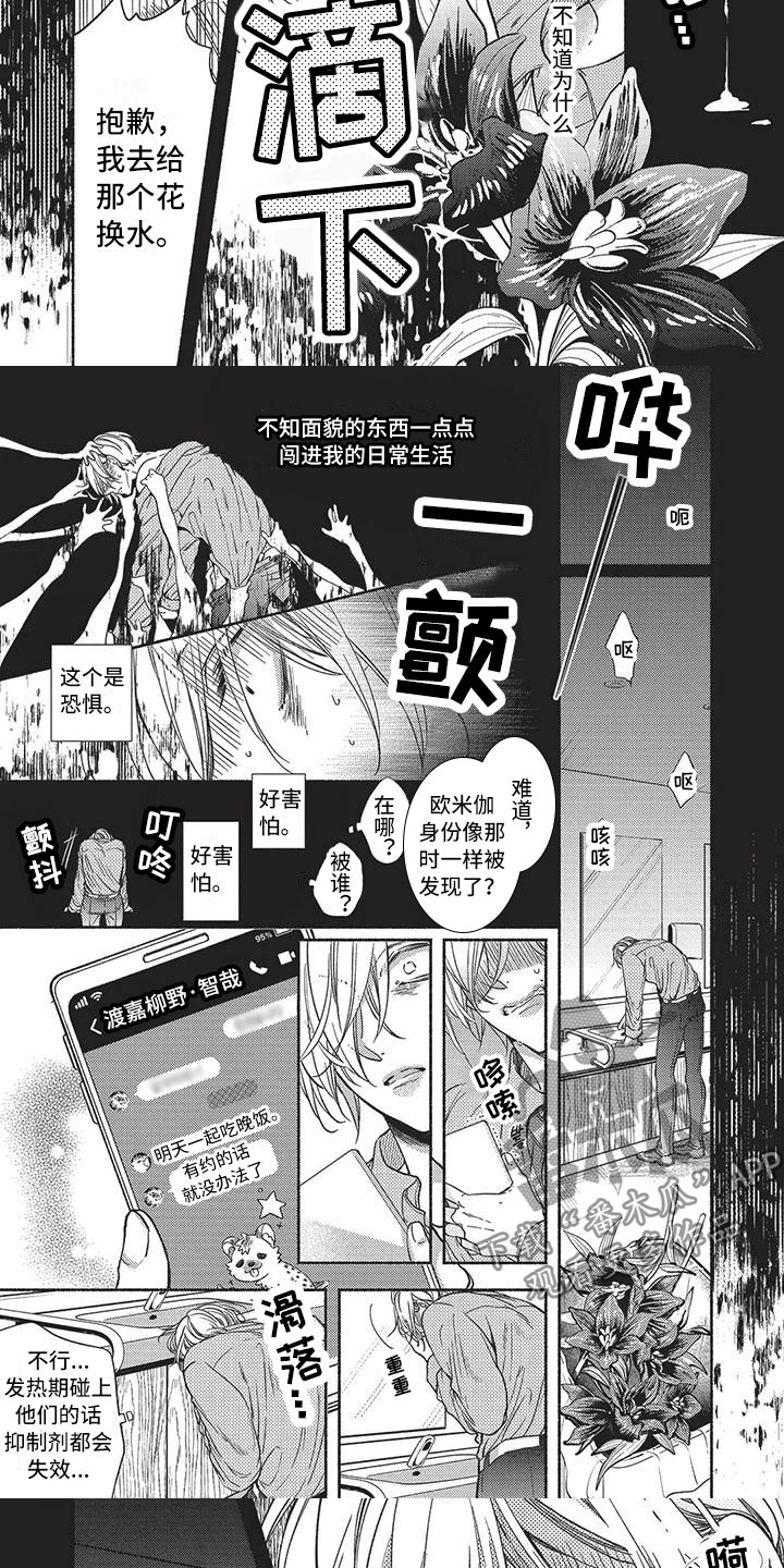 《最棒的欧米伽》漫画最新章节第19章：黑百合免费下拉式在线观看章节第【3】张图片