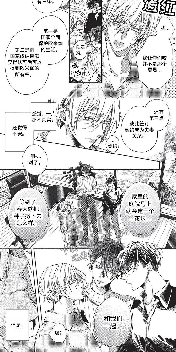 《最棒的欧米伽》漫画最新章节第24章：和他们一起免费下拉式在线观看章节第【2】张图片