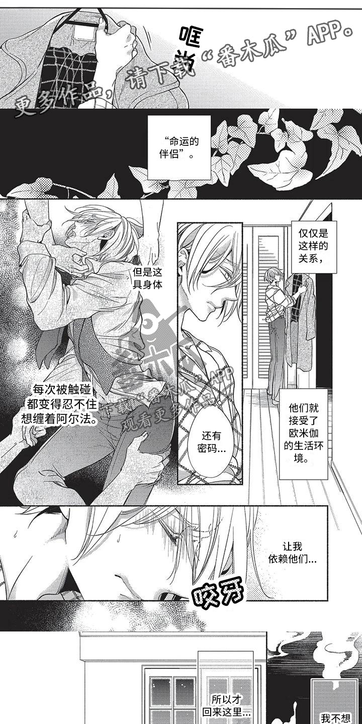 《最棒的欧米伽》漫画最新章节第26章：心痒难耐免费下拉式在线观看章节第【5】张图片