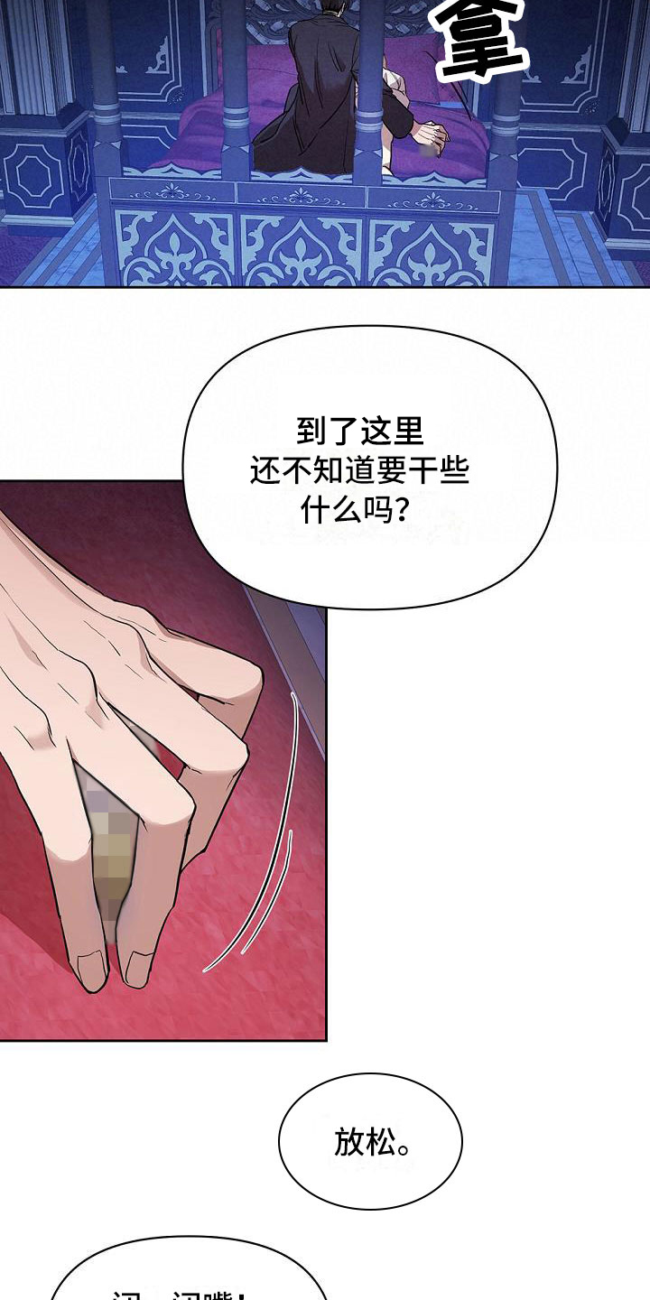 《帝国皇隶》漫画最新章节第7章：试探免费下拉式在线观看章节第【12】张图片