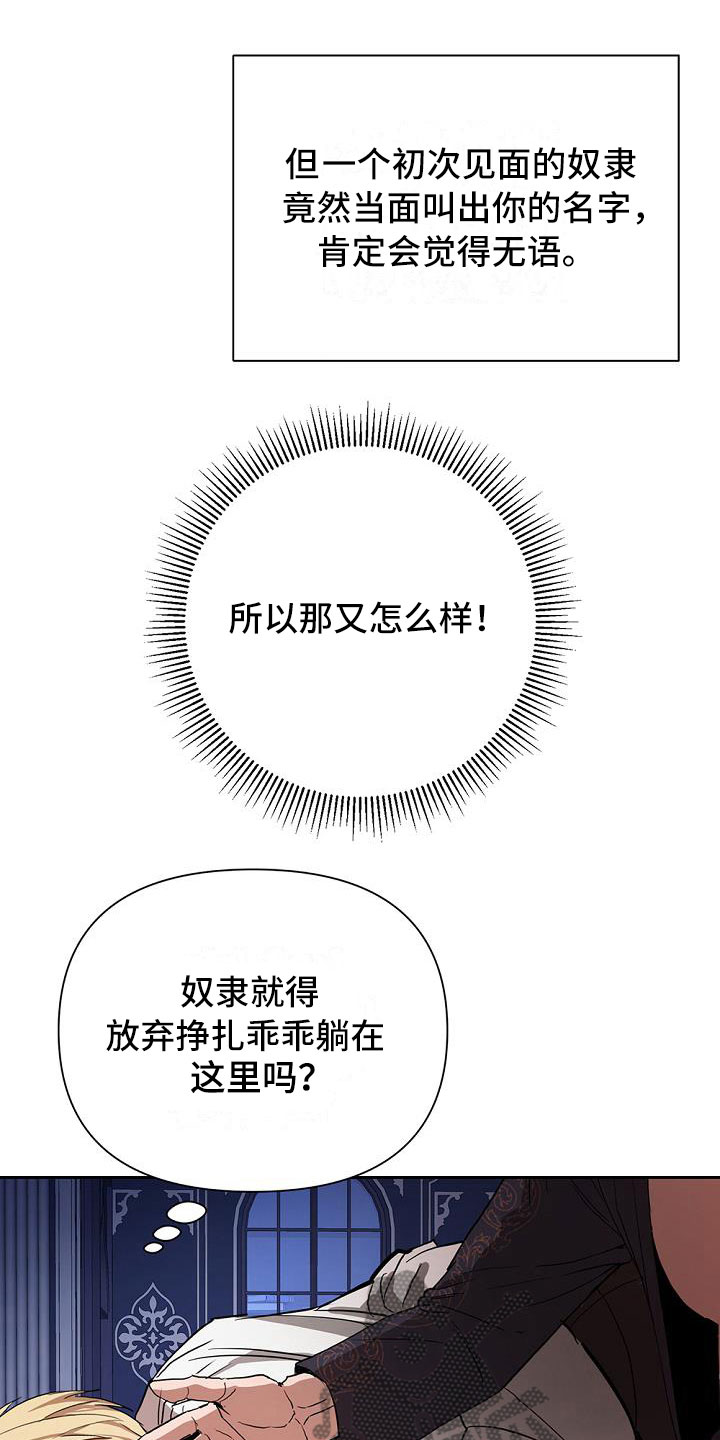 《帝国皇隶》漫画最新章节第7章：试探免费下拉式在线观看章节第【15】张图片