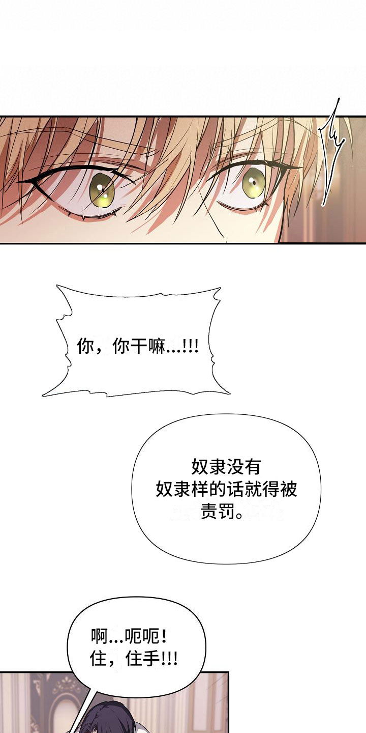 《帝国皇隶》漫画最新章节第10章：怀疑免费下拉式在线观看章节第【11】张图片