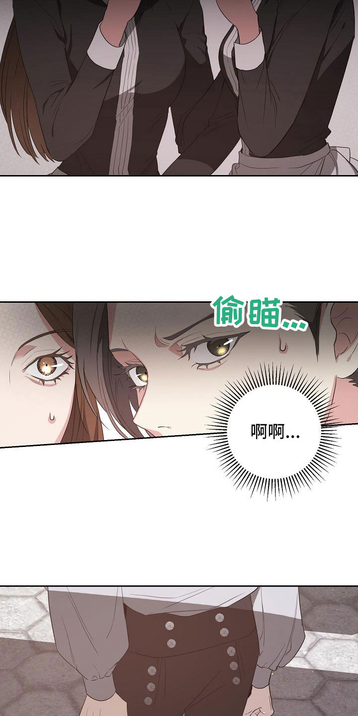 《帝国皇隶》漫画最新章节第18章：足以应付免费下拉式在线观看章节第【25】张图片