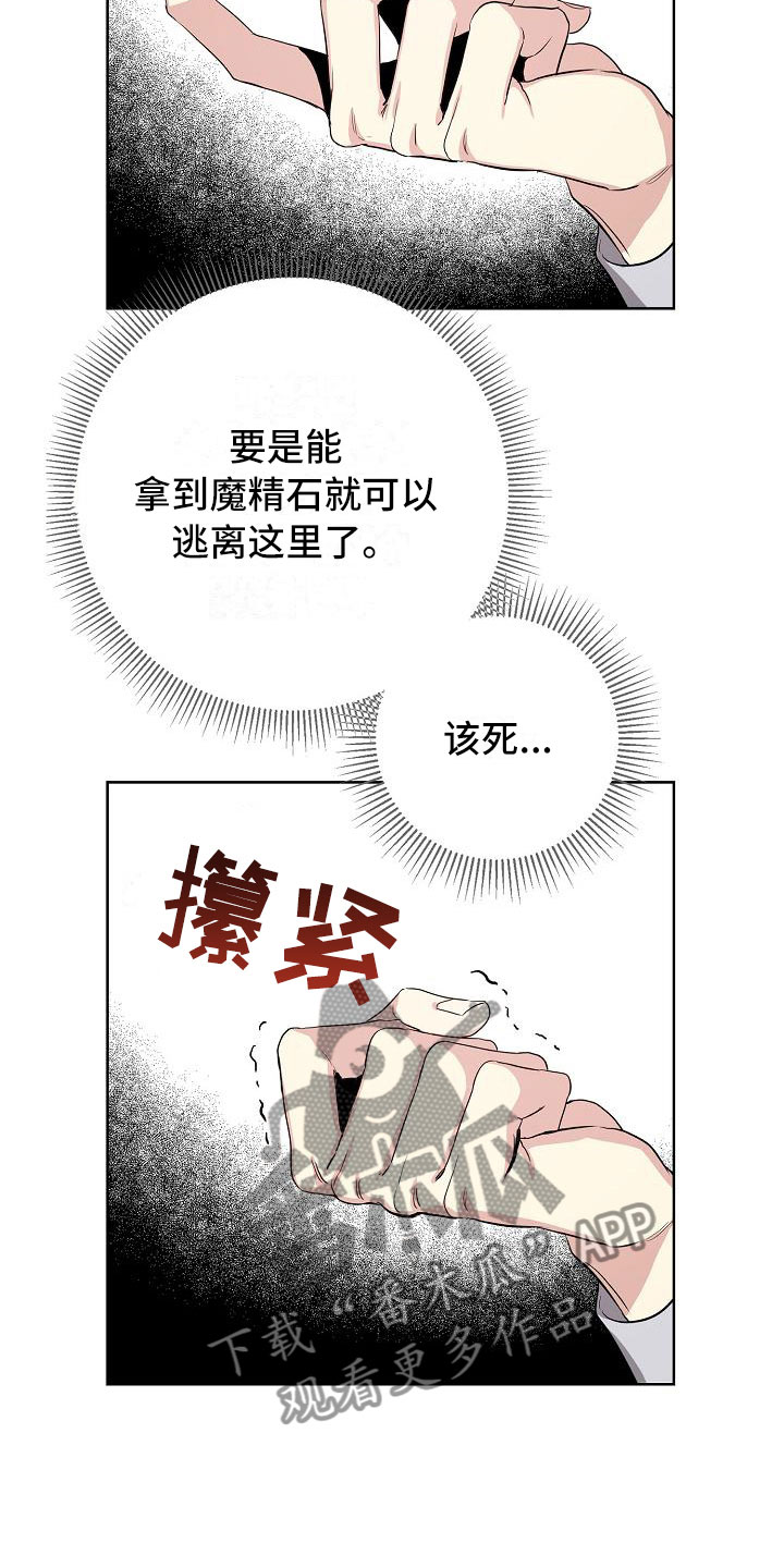 《帝国皇隶》漫画最新章节第18章：足以应付免费下拉式在线观看章节第【13】张图片