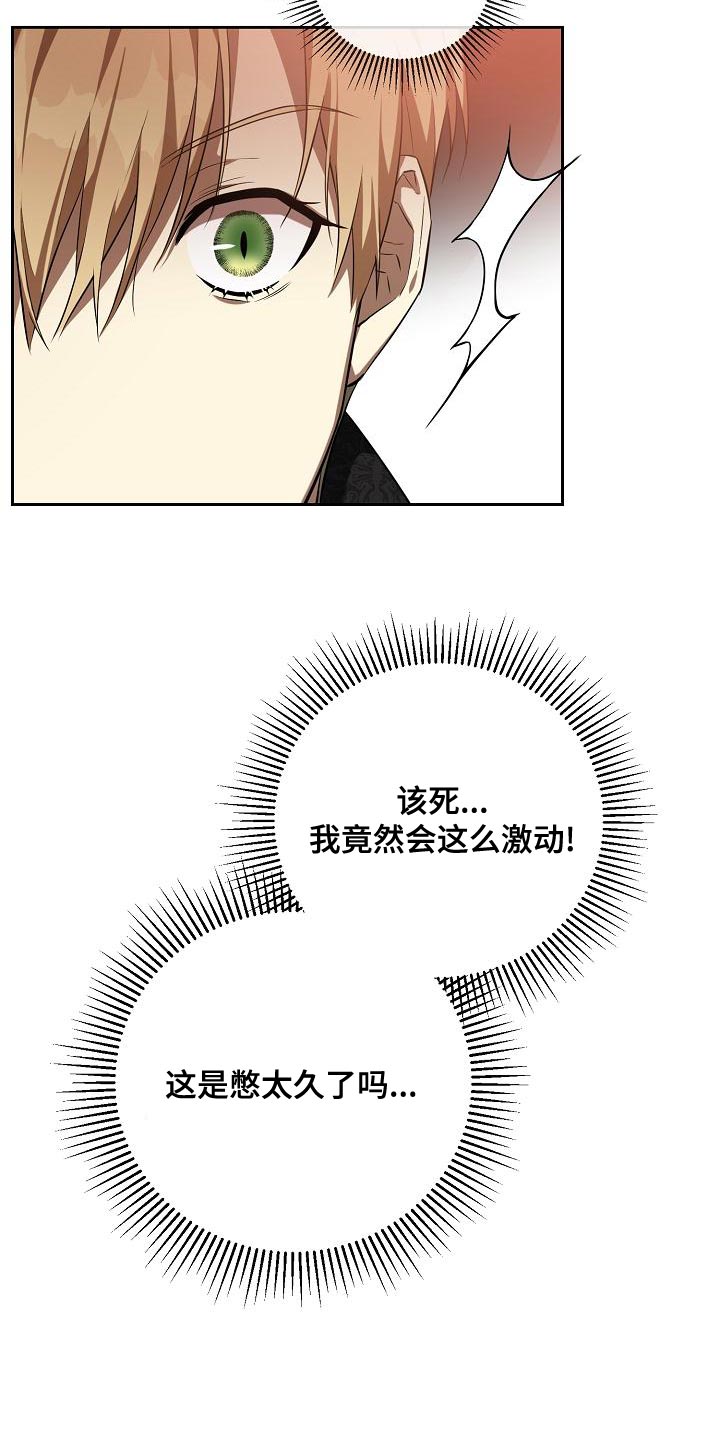 《帝国皇隶》漫画最新章节第36章：学习剑术免费下拉式在线观看章节第【13】张图片