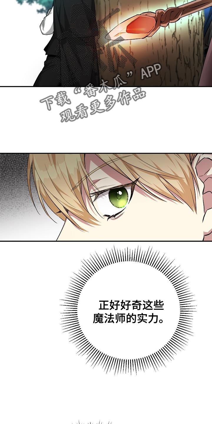 《帝国皇隶》漫画最新章节第46章：手帕免费下拉式在线观看章节第【28】张图片