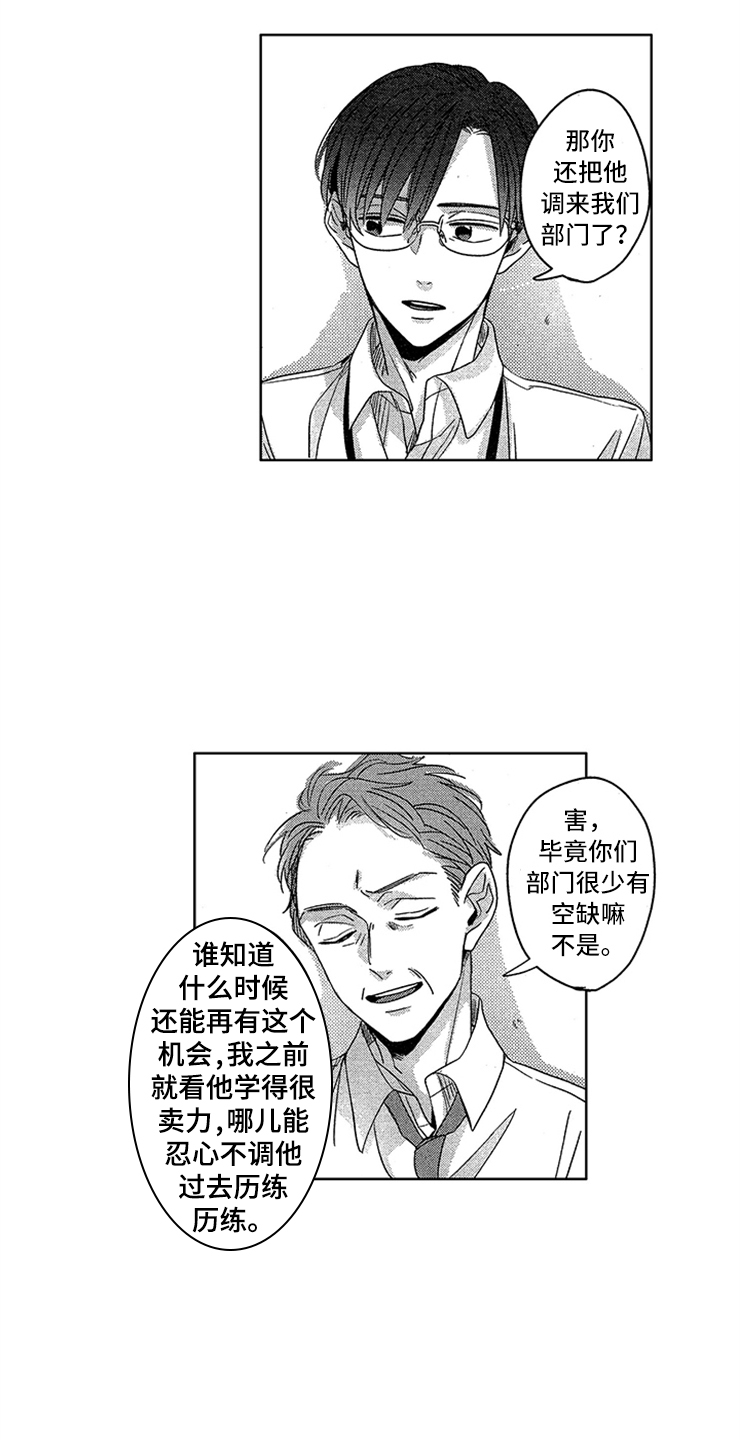 《天降小狼狗》漫画最新章节第3章：超级新人免费下拉式在线观看章节第【6】张图片