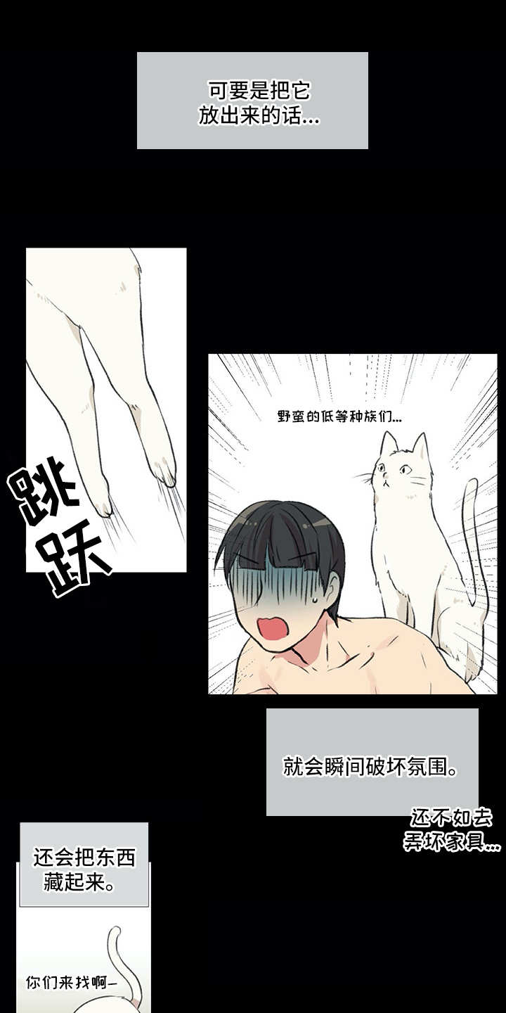 《情感咨询师》漫画最新章节第18章：猫奴免费下拉式在线观看章节第【7】张图片