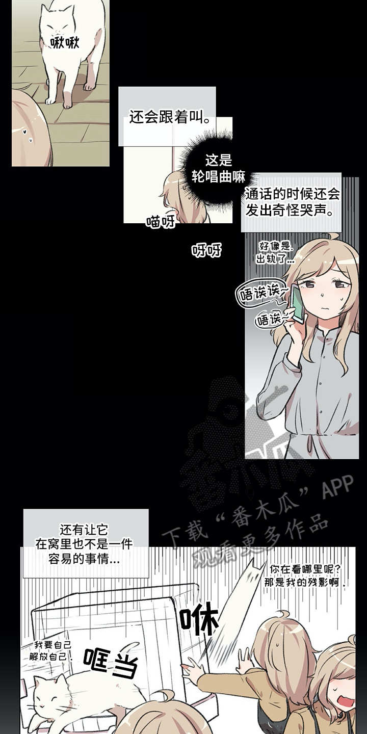 《情感咨询师》漫画最新章节第18章：猫奴免费下拉式在线观看章节第【6】张图片