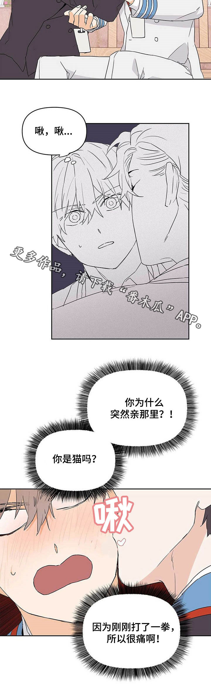 《命运指引》漫画最新章节第30章：有蚊子免费下拉式在线观看章节第【1】张图片