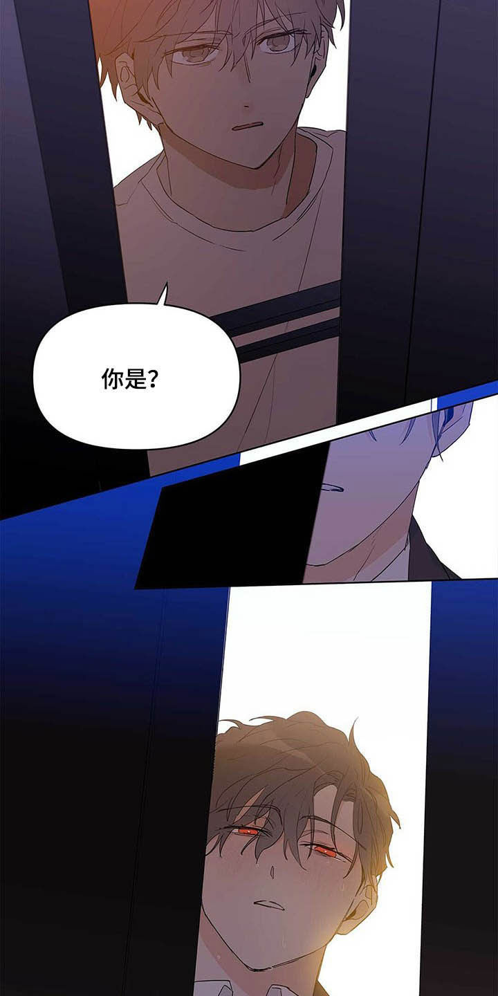 《命运指引》漫画最新章节第42章：紧拥免费下拉式在线观看章节第【4】张图片