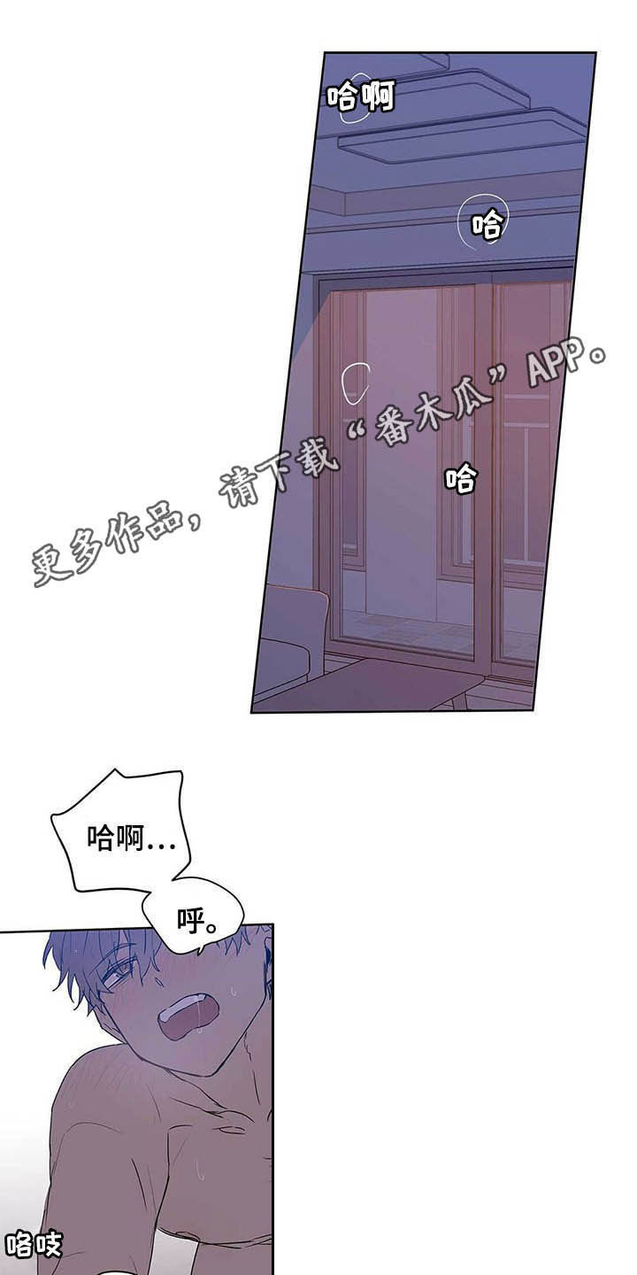 《命运指引》漫画最新章节第46章：没良心免费下拉式在线观看章节第【20】张图片