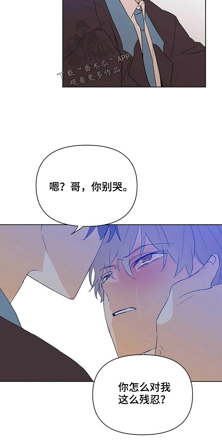 《命运指引》漫画最新章节第101章：【第二季】申请免费下拉式在线观看章节第【8】张图片