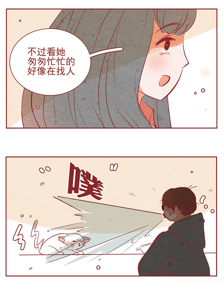 《晴天港湾》漫画最新章节第33章：免费下拉式在线观看章节第【2】张图片