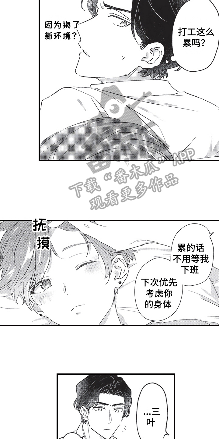 《三叶之恋》漫画最新章节第6章：心意免费下拉式在线观看章节第【15】张图片