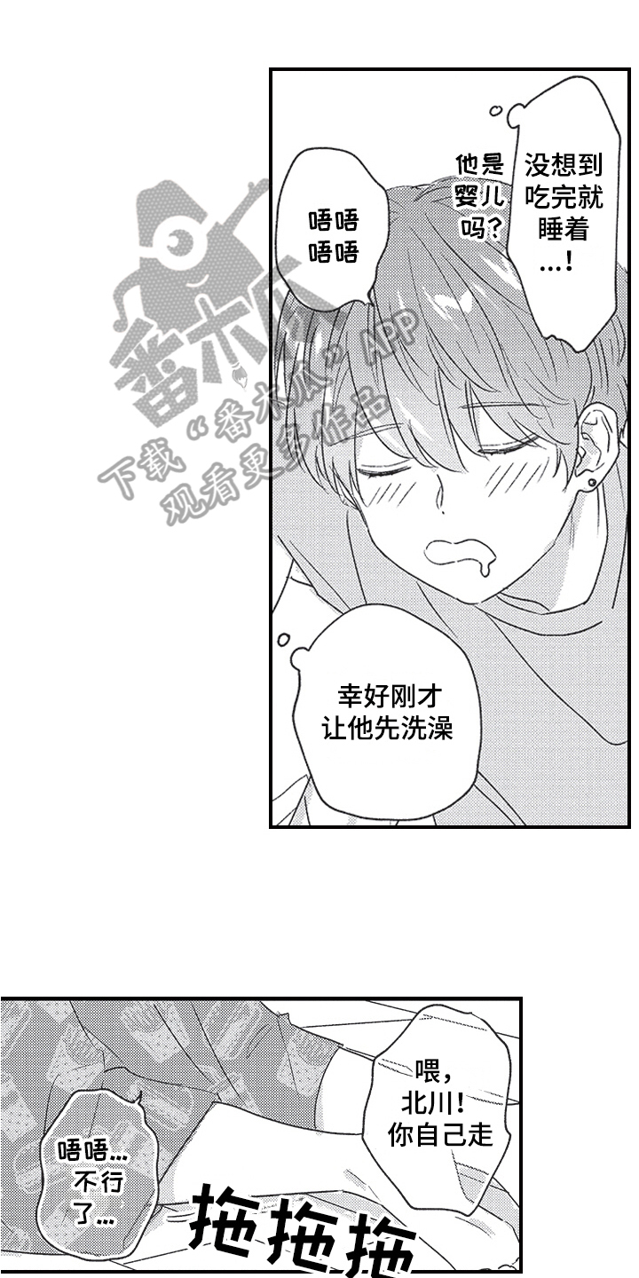 《三叶之恋》漫画最新章节第6章：心意免费下拉式在线观看章节第【17】张图片