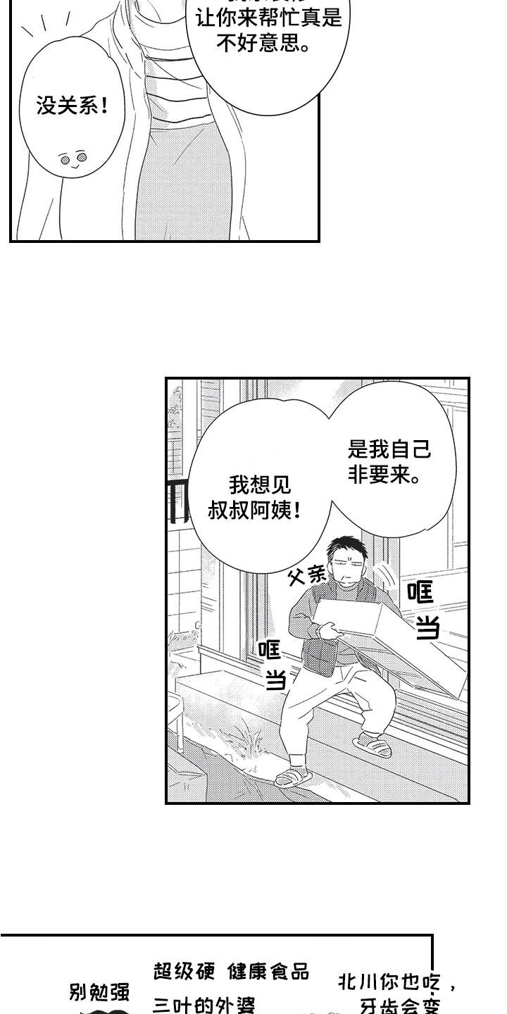 《三叶之恋》漫画最新章节第24章：决定免费下拉式在线观看章节第【6】张图片