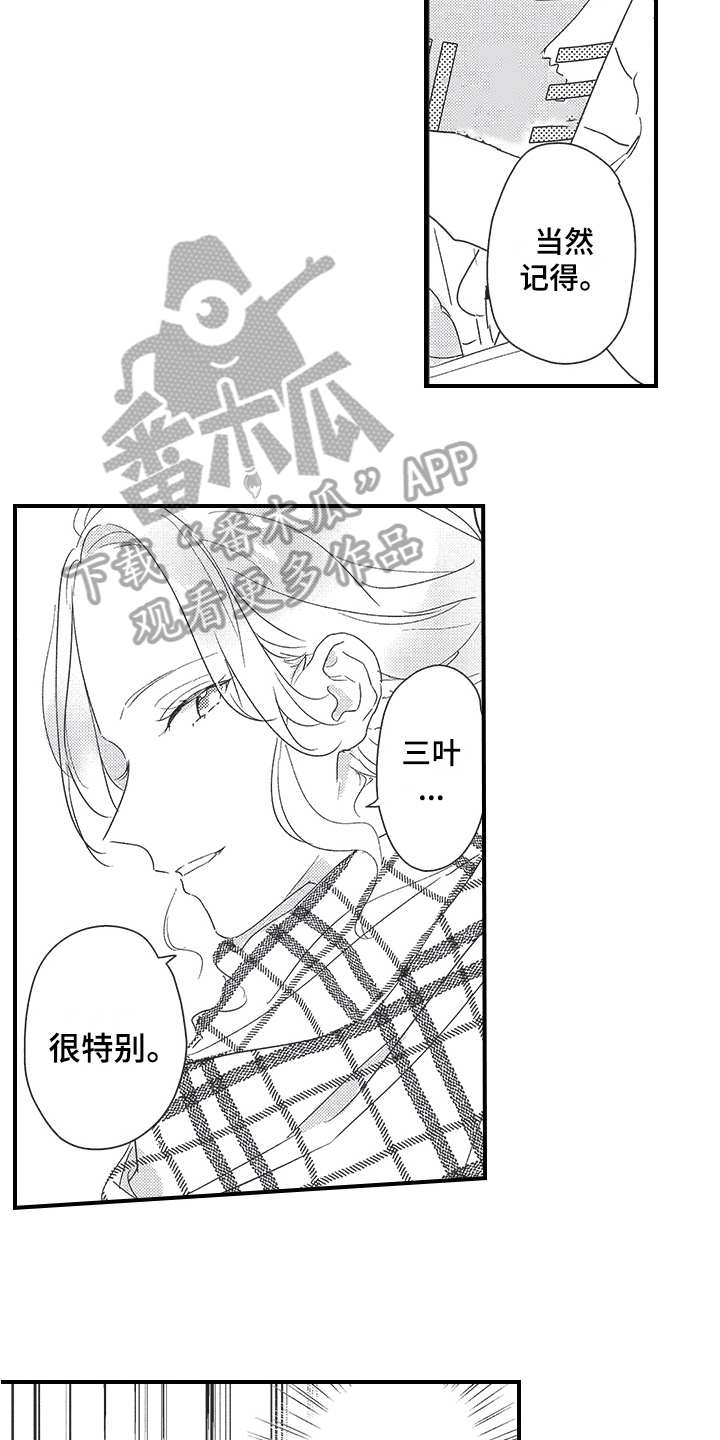 《三叶之恋》漫画最新章节第27章：解释免费下拉式在线观看章节第【13】张图片