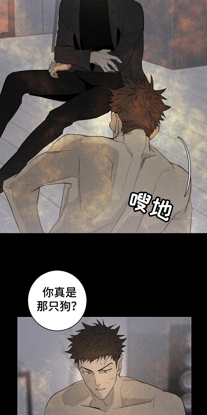 《黑犬》漫画最新章节第1章：赶走免费下拉式在线观看章节第【16】张图片