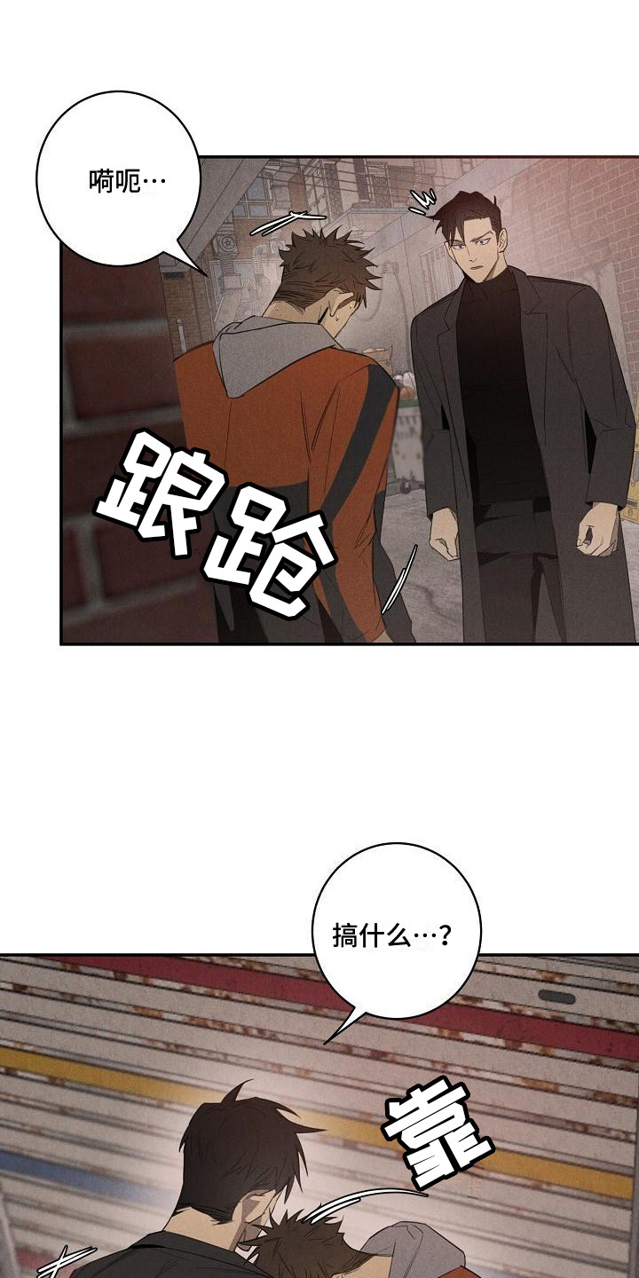 《黑犬》漫画最新章节第3章：受伤了免费下拉式在线观看章节第【9】张图片