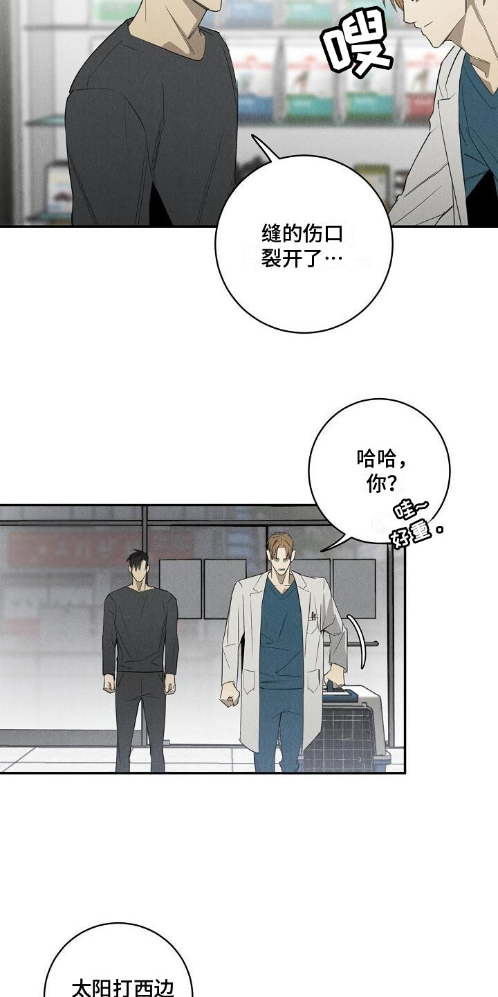 《黑犬》漫画最新章节第6章：宠物医院免费下拉式在线观看章节第【6】张图片