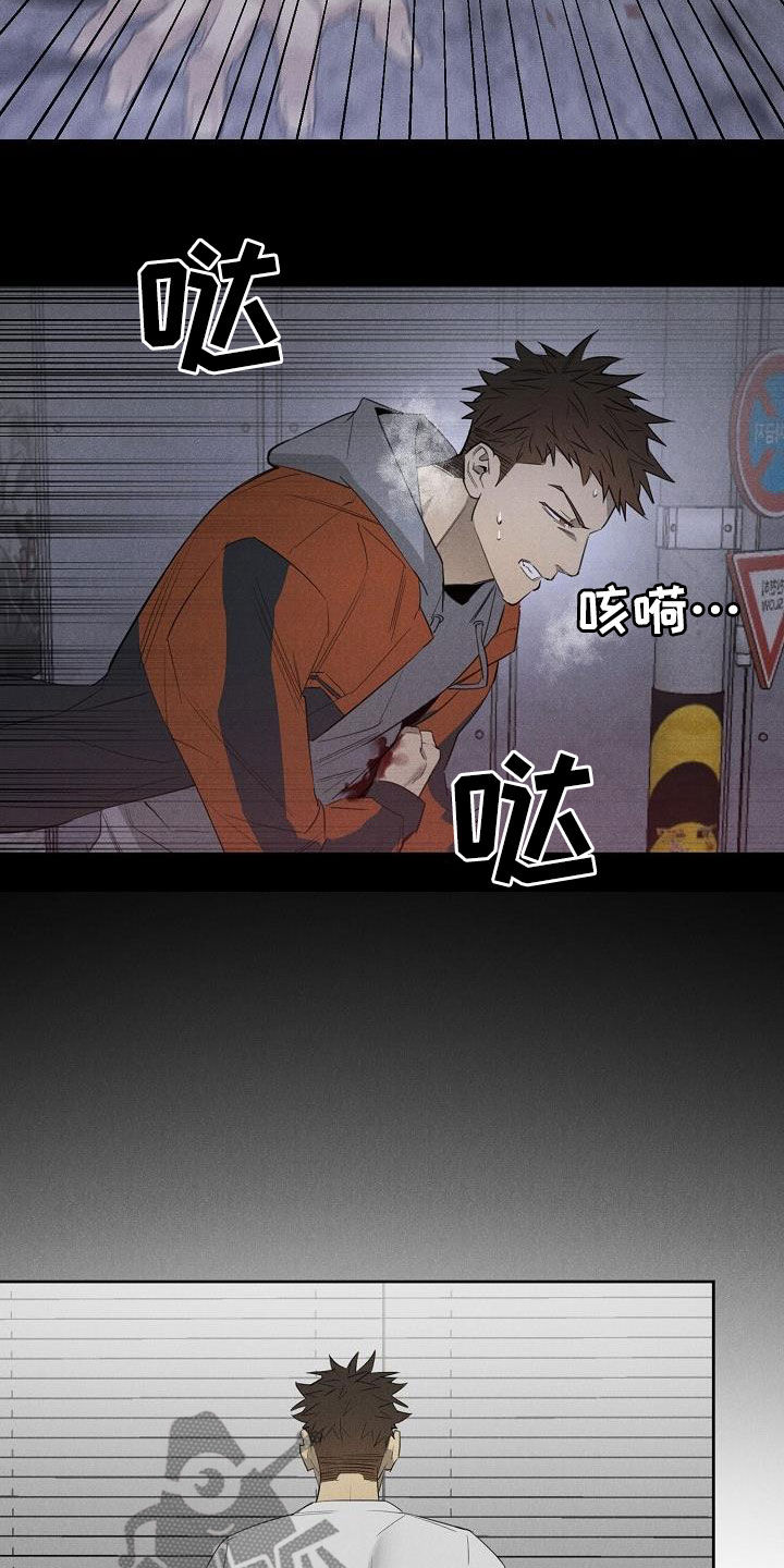 《黑犬》漫画最新章节第17章：相片免费下拉式在线观看章节第【14】张图片