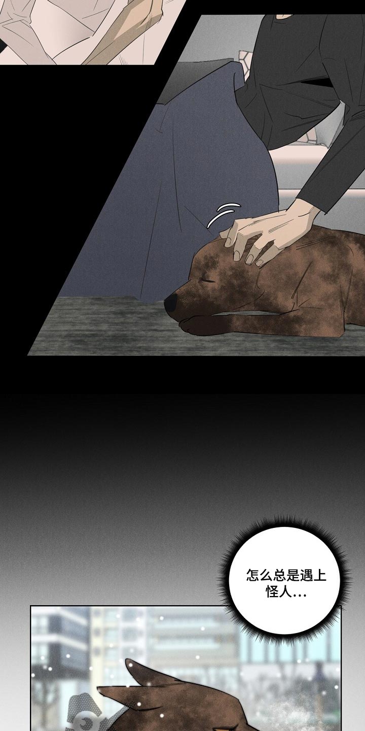 《黑犬》漫画最新章节第22章：更孤单免费下拉式在线观看章节第【3】张图片