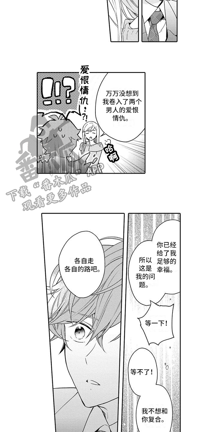 《复仇与爱情》漫画最新章节第17章：了断免费下拉式在线观看章节第【9】张图片