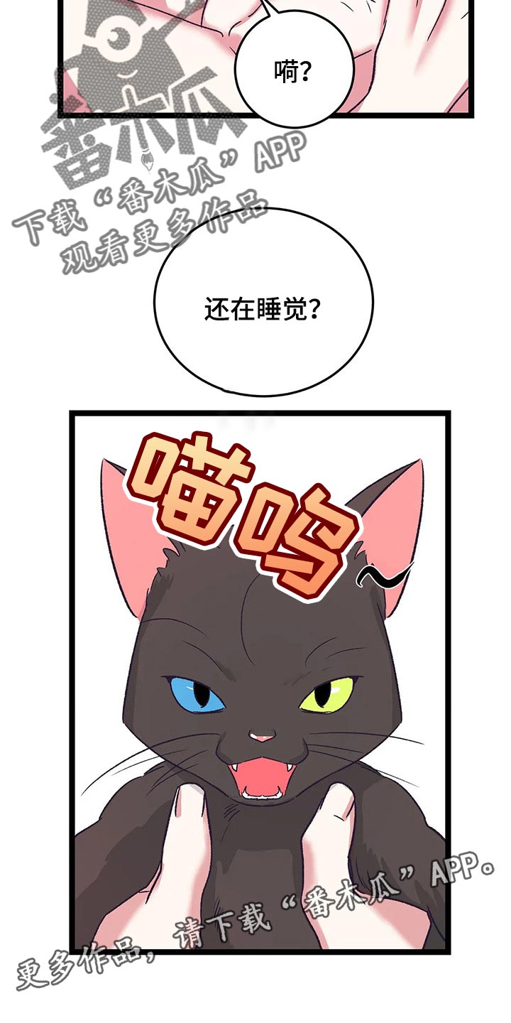 《爱的动力》漫画最新章节第59章：黑猫免费下拉式在线观看章节第【2】张图片