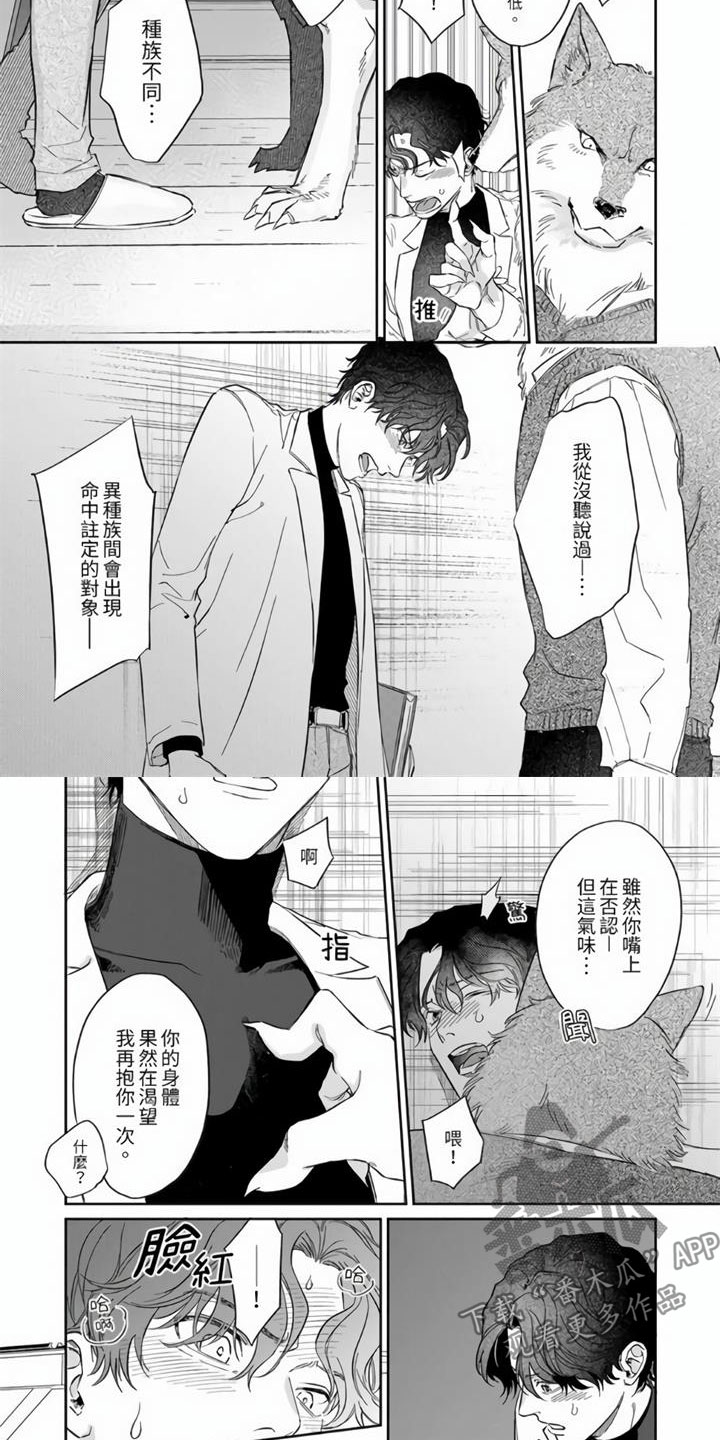 《霸道之爱》漫画最新章节第4章：命中注定免费下拉式在线观看章节第【5】张图片