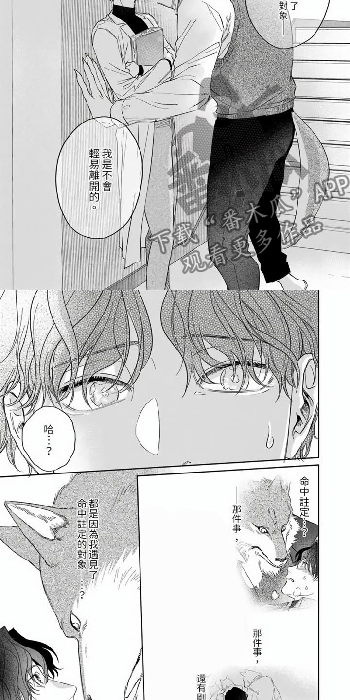 《霸道之爱》漫画最新章节第4章：命中注定免费下拉式在线观看章节第【7】张图片